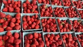 Historic Vincennes Farmers Market