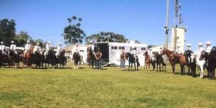 Show jumping regional school