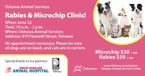 Rabies & Microchip event!