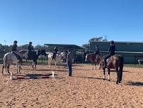 Ground Handling + Horsemanship Clinic