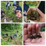 MMTA Reptile Exhibit with Andy McKee