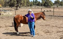 Equine Massage Class