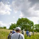 Forage and Cook - Wiltshire