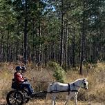 Aiken Driving Club General Member Meeting