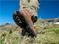 Wapiti Trail Hike