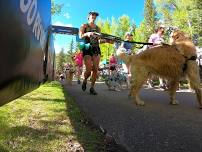 BFGoodrich Rocky Dog Fun Run