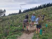 Volunteer: Kirimoko Planting Morning