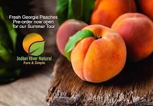 Fresh Georgia Peaches Sales Event - Zephyrhills, FL