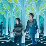 A Mirror Maze: Numbers in Nature Grand Opening