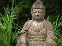 Columbia Insight Meditation Class ONLINE ONLY for the Summer