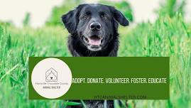 HTC Animal Shelter Volunteer/ Foster Orientation