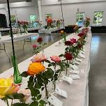 What are the judges looking for? — Winston Salem Rose Society