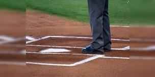 Harrisburg Senators at Cropdusters Baseball,