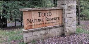 Buffalo Creek Nature Park/Todd Sanctuary for an Audubon-Led Walk — Westmoreland Bird & Nature Club