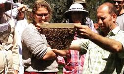 Natural Beekeeping Course Mornington Peninsula, VIC – October 2024