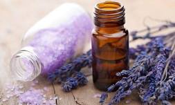 Aromatherapy Taster Event £15