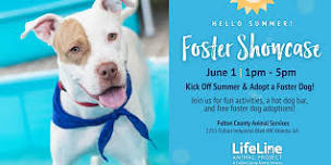 Fulton County Pet Foster Showcase