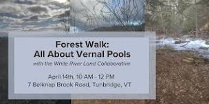 Forest Walk: All About Vernal Pools