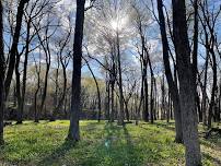 Dayton Bluffs Preserve Workday