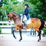 Hilary Moore Hebert Dressage Clinic