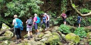 Coomera Circuit Hike - Crayfish and Creeks