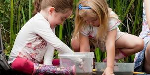 Big Wild Weekend: Family Pond Dipping at Sevenoaks Wildlife Reserve