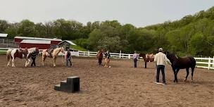 Horsemanship Clinic