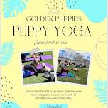 Puppy Yoga at Golden Puppies