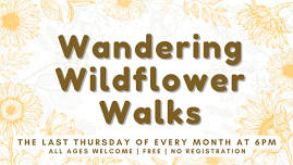 Wandering Wildflower Walk