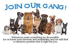 New Volunteer Orientation