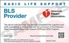 BLS Provider