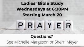 Ladies' Bible Study