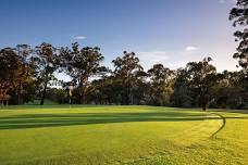 Ladies JD Carnarvon Cup, Salver & Thelma Reus Trophy