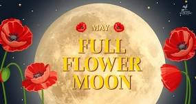 Full Flower Moon Releasing