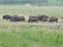 Blue Mounds State Park - 1