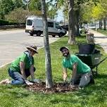 Volunteer Event: Tree Corps Aquidneck Park  — Newport Tree Conservancy