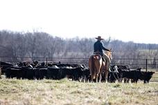 BCFA Ranch Rodeo