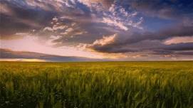 Heartland Prairie Hikes