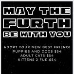 May the Furth Be with You - adoption event