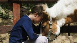 Horse Play at Shenandoah Riding Center