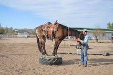 FAB Horsemanship Fundamentals Clinic