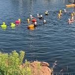 Summerside Open Water Swim