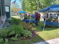 Arlington Garden Club Plant Sale