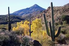 Cave Creek Thriller