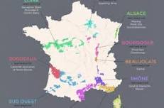 Understanding French Wines Tasting