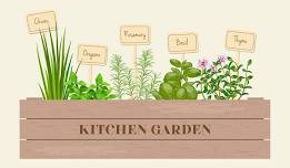 Tabletop Herb Gardens 