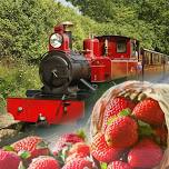 Strawberries & Steam