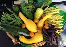 Grand Haven Farmers Market