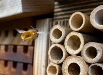 Bee Hotel Workshop