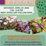 Wildflower Walk